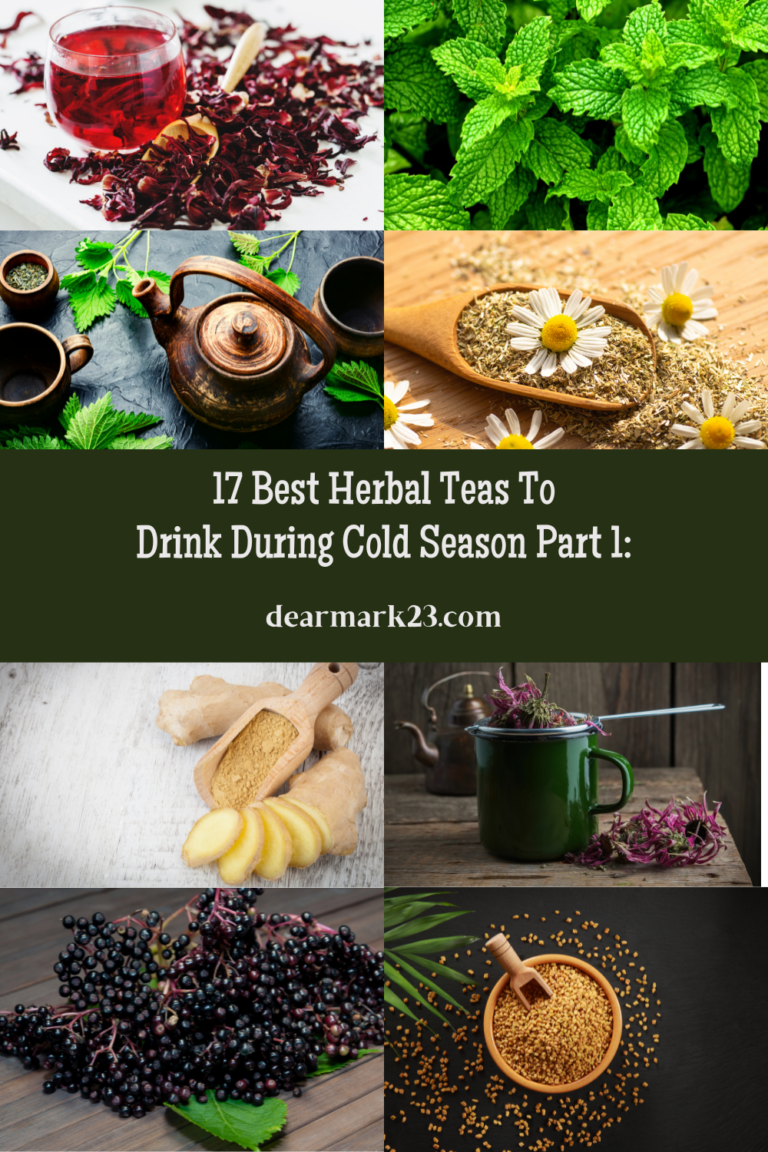 17 Best Herbal Teas To Drink During Cold Season Part 1