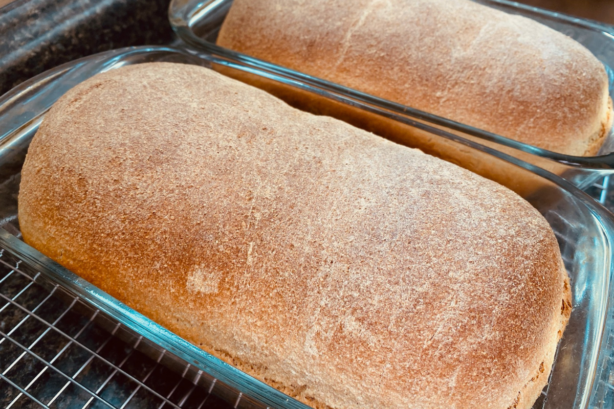 Best Easy Whole Wheat Bread Recipe