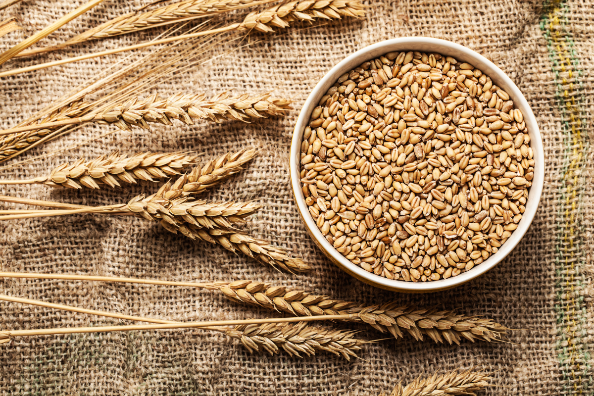 19 Health Benefits Of Switching To Whole Grains